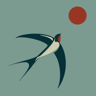 Flight greetings card