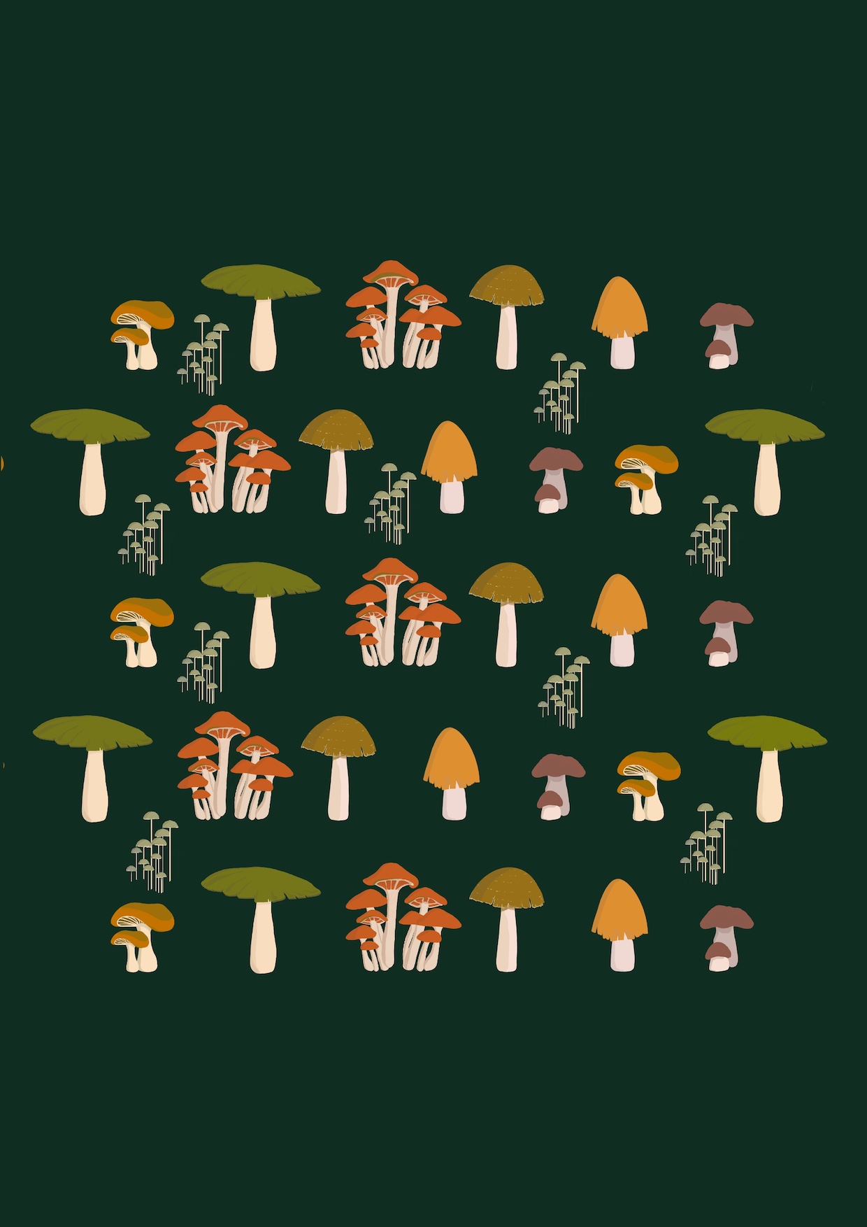 fungi notebook