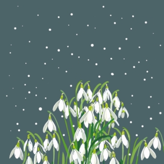 Snowdrop Christmas card
