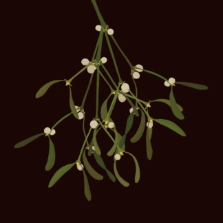 Mistletoe Christmas on Black