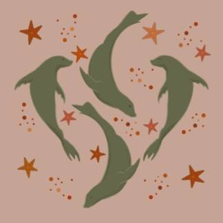 Seals and Sea stars greetings card